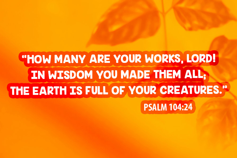 What does it mean to say God is intelligent?